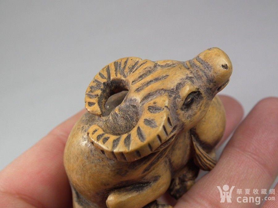 老黄杨圆雕回头卧牛摆件