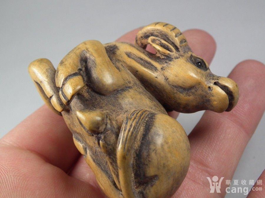 老黄杨圆雕回头卧牛摆件