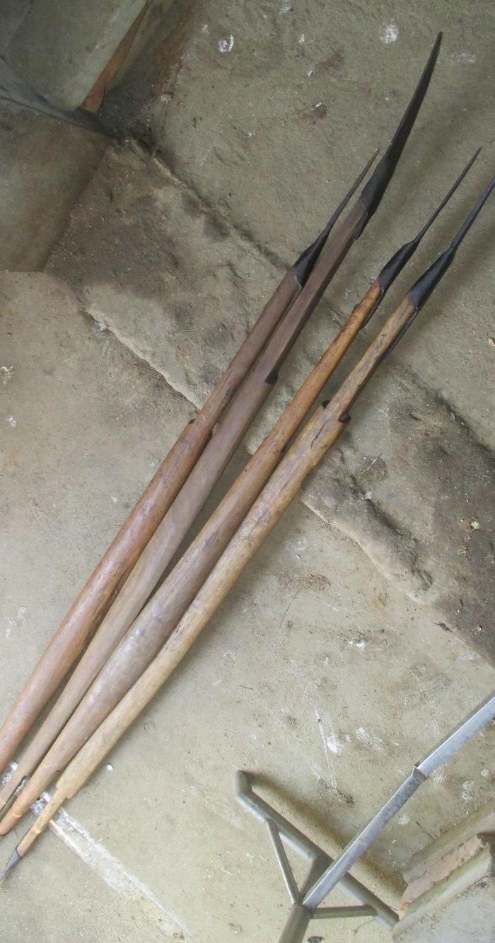 南方农村 挑谷草的好朩 冲担