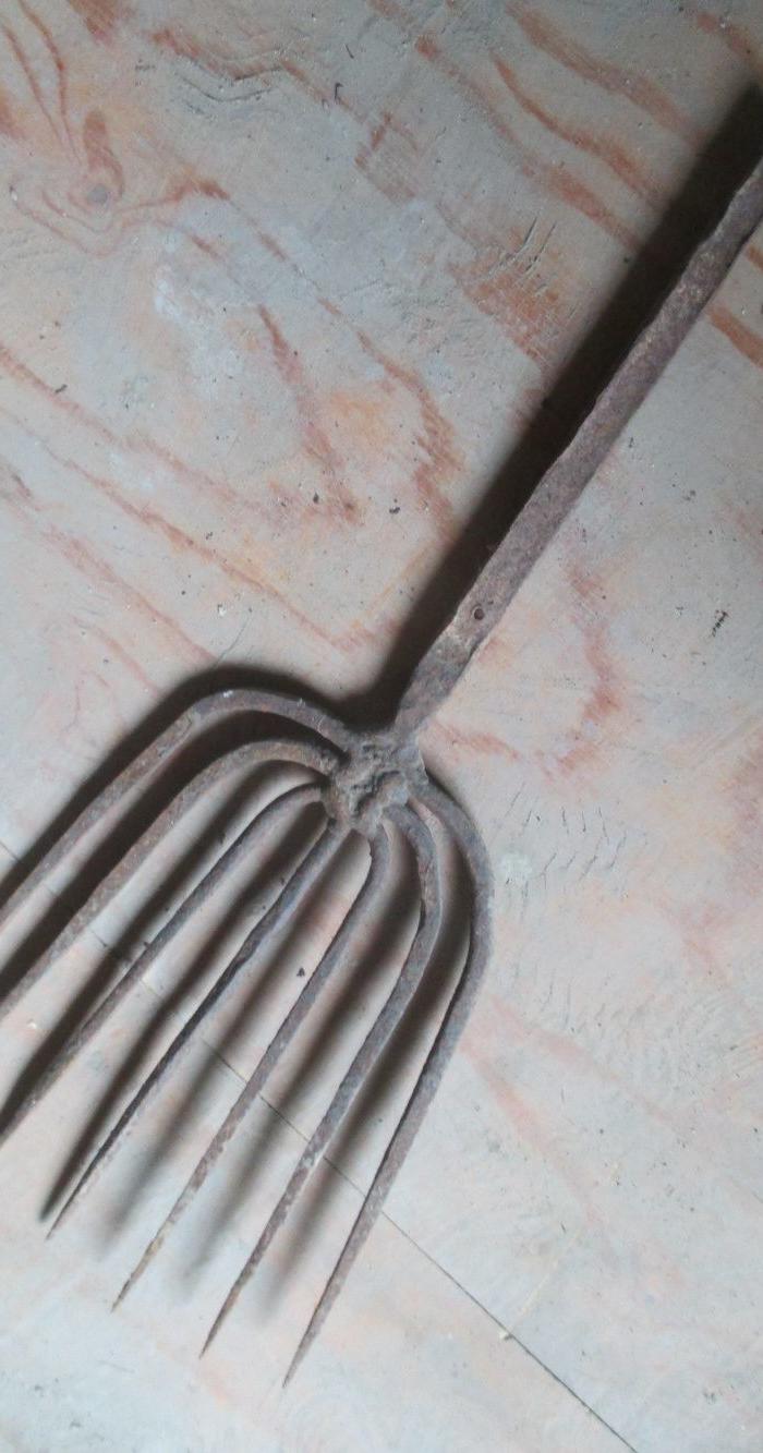 牢固的大7齿老鱼叉