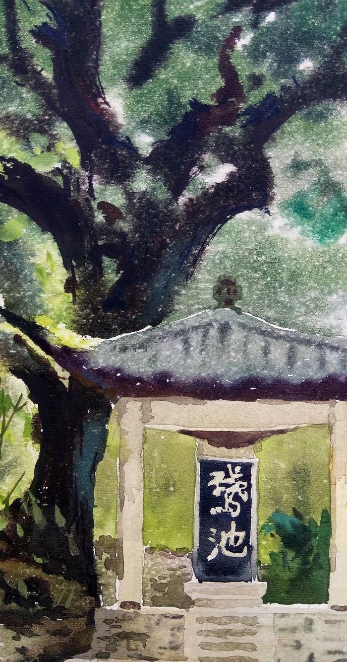 杨义辉 水彩35.3 乘27cm