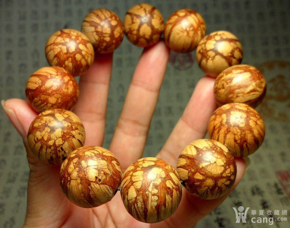 精品梅花入骨丹2.0手串!漂亮花纹!