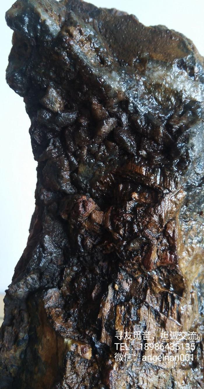 硅化木 树化石 树化玉景观原石