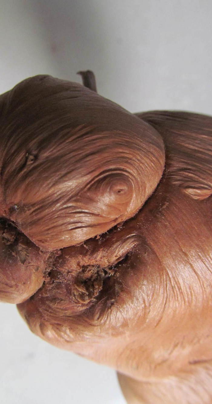 松树根瘤子2 不议价