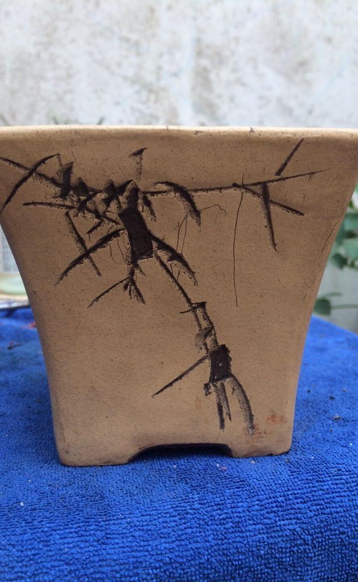 毛国强大师 ,小羽,文革紫砂花盆