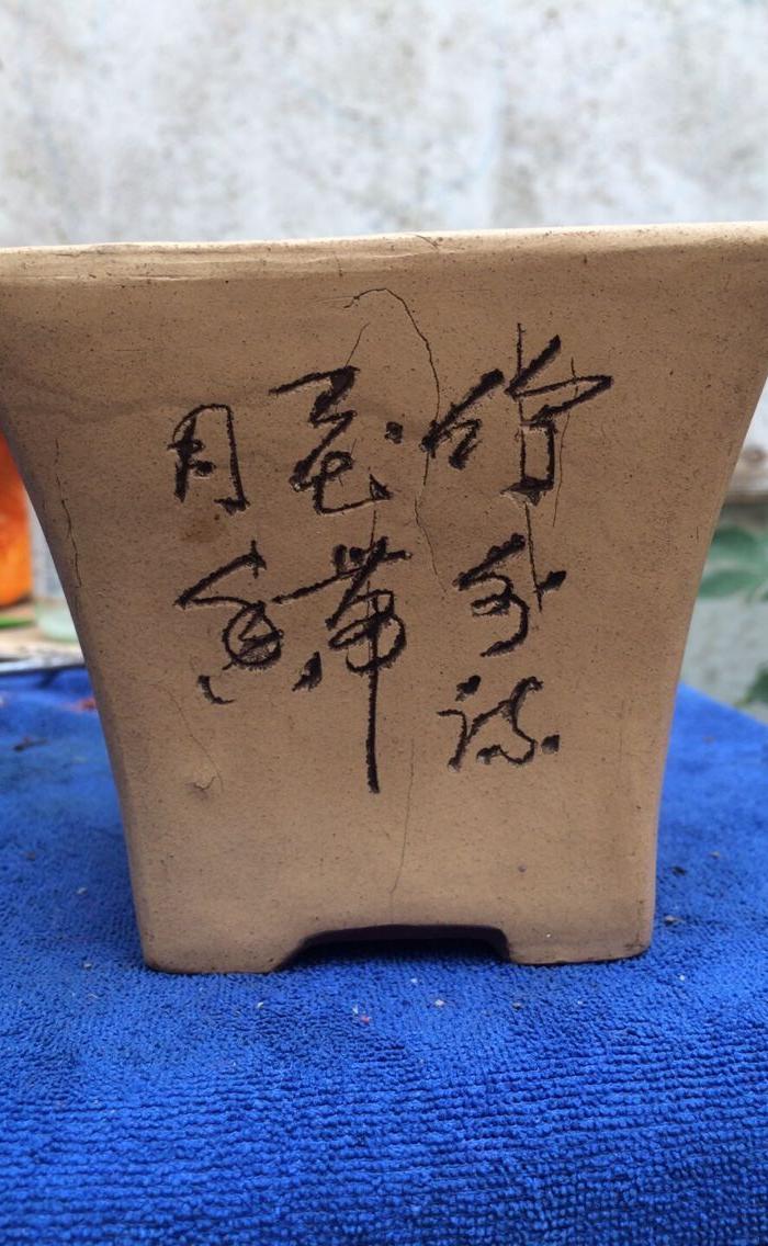 毛国强大师 ,小羽,文革紫砂花盆