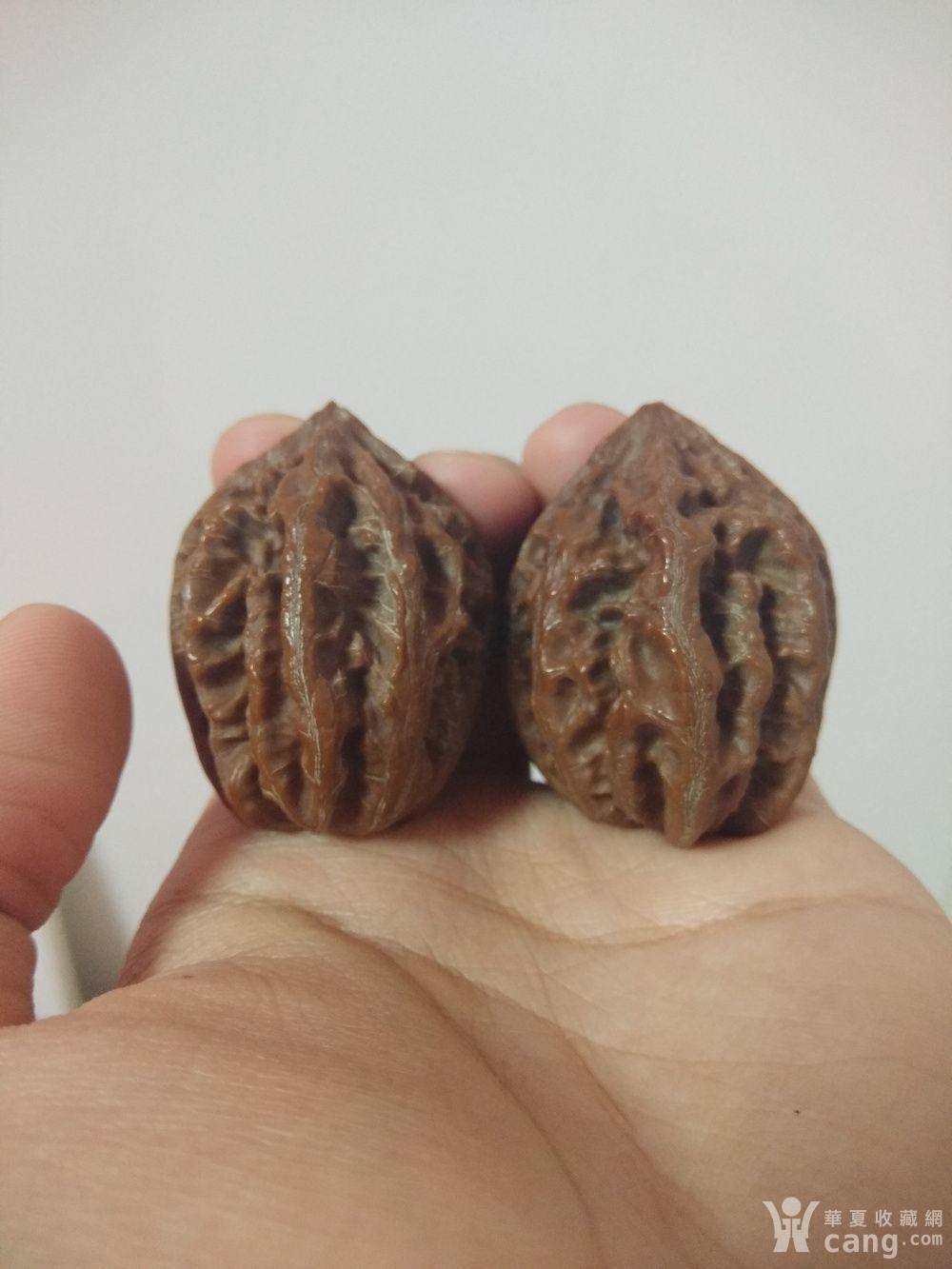 绝版 血色灯笼野生楸子文玩核桃 大肚包浆