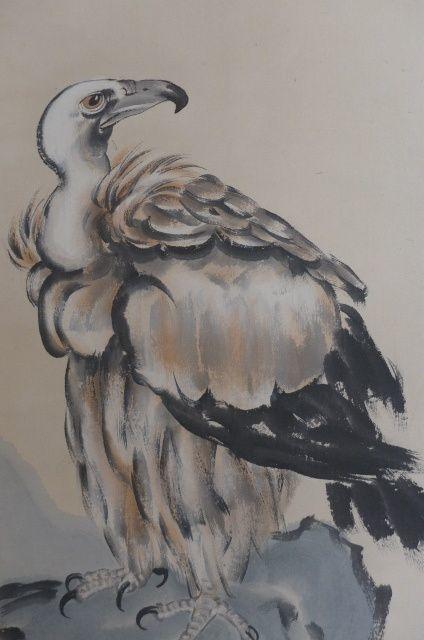 徐悲鸿秃鹫作品