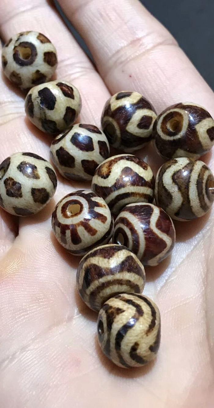 精品一代邦迪克