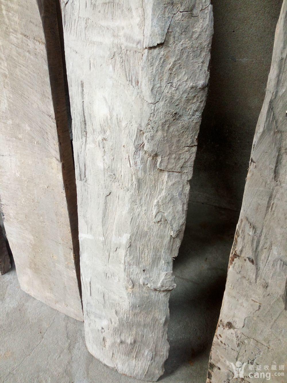 金丝楠木板五张