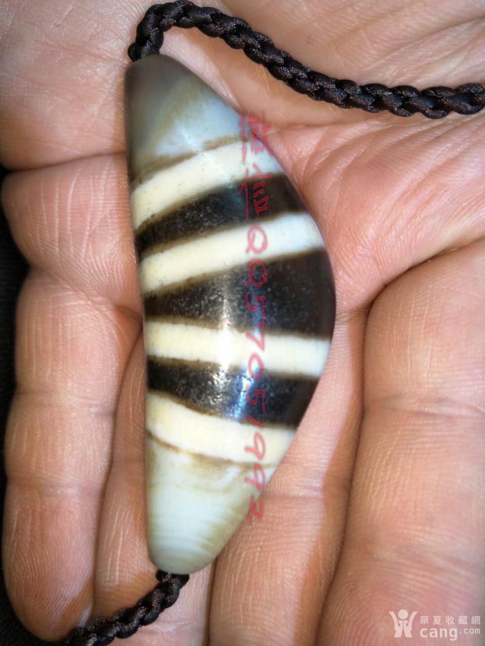 西藏老矿至纯玛瑙7线牛家天珠