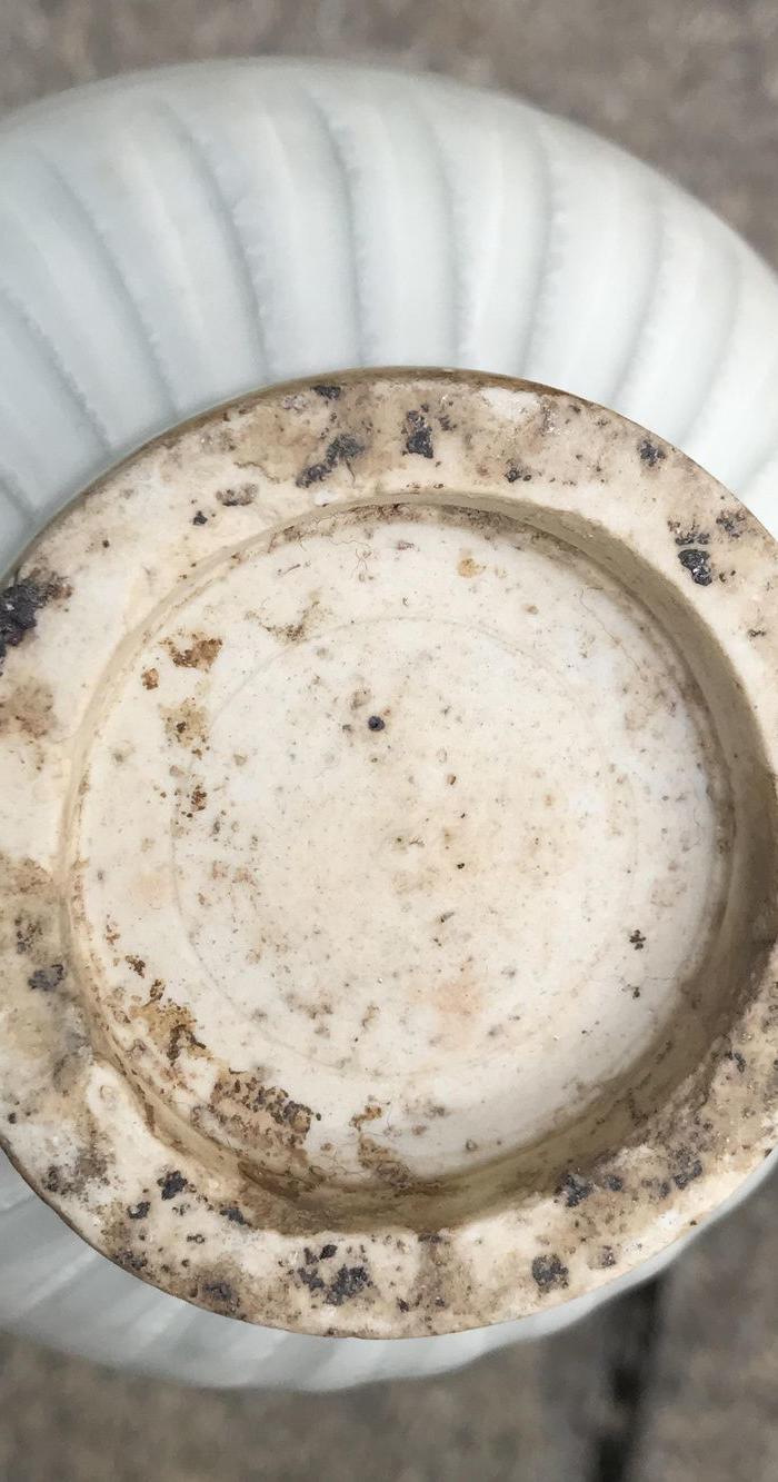 枢府蒜头瓶_枢府蒜头瓶价格_枢府蒜头瓶图片_来自藏友盛世小贩_瓷器