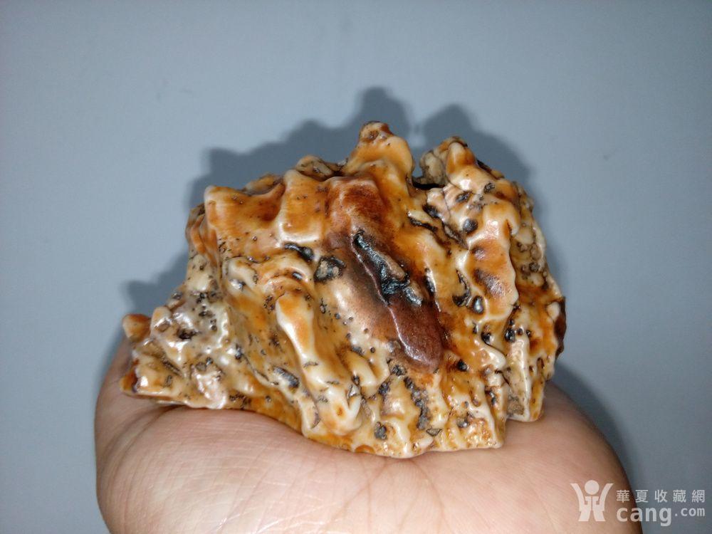 大漠奇石 老皮沙漠漆山子