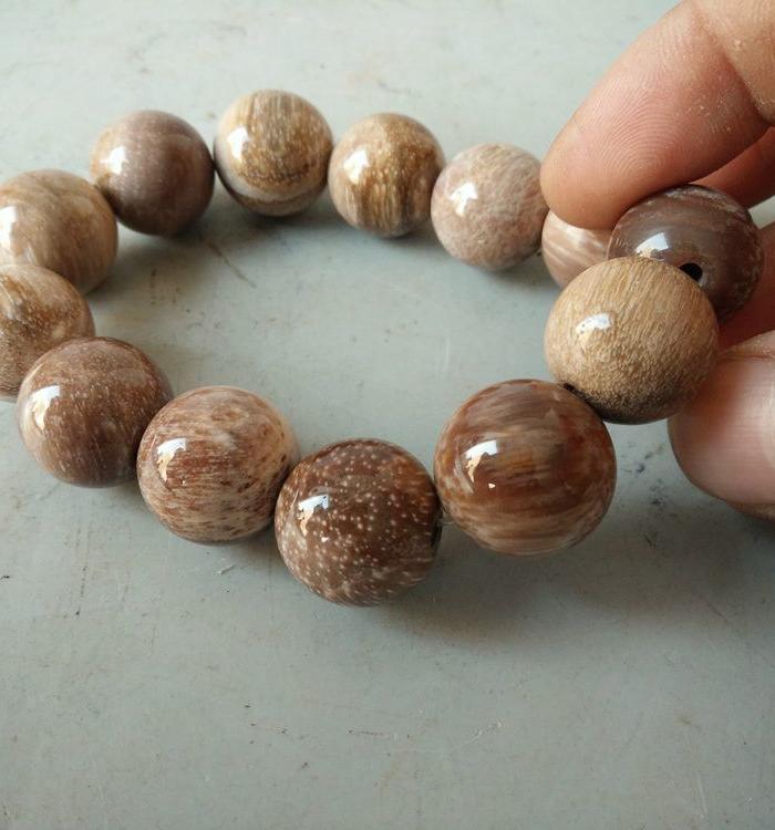 收了很多年的树化石手串