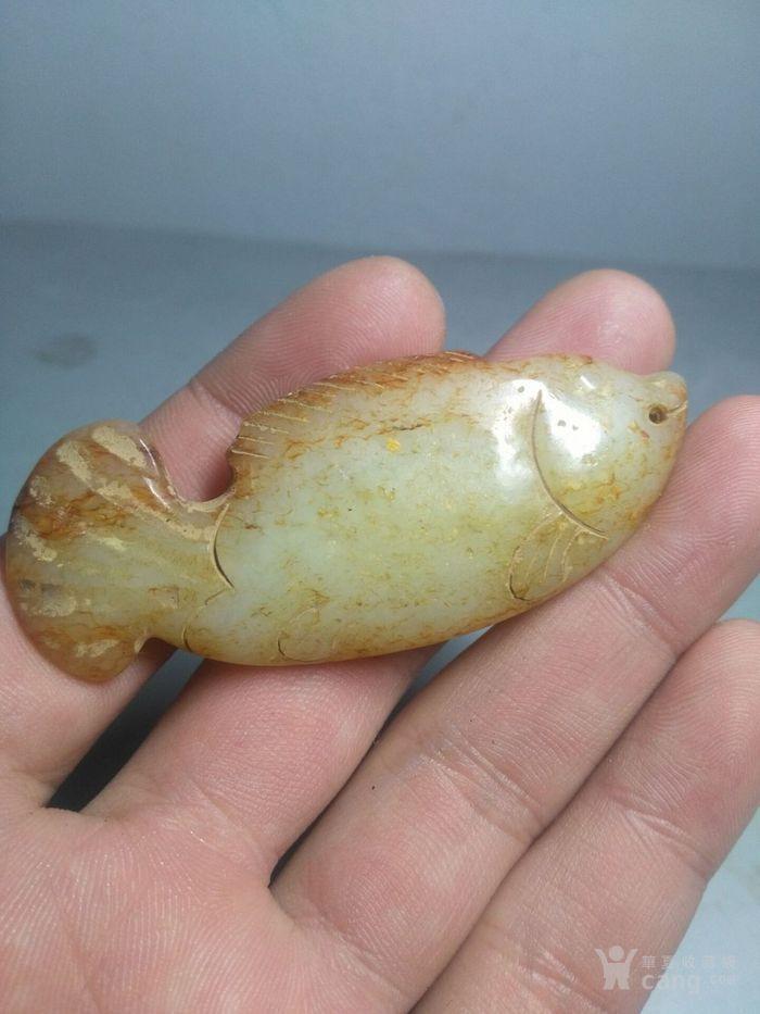 老古玉鱼