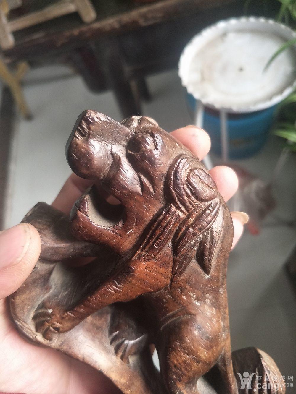 明代黄花梨狮子摆件