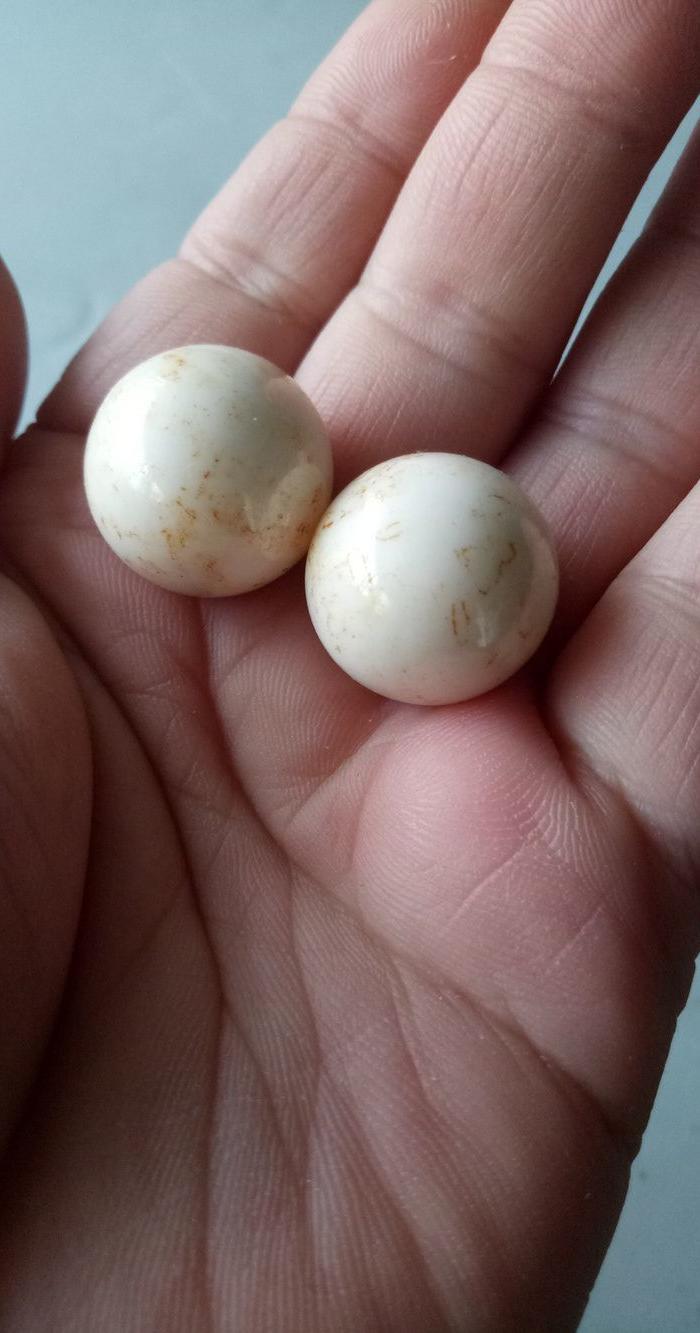 超精美舍利子两颗