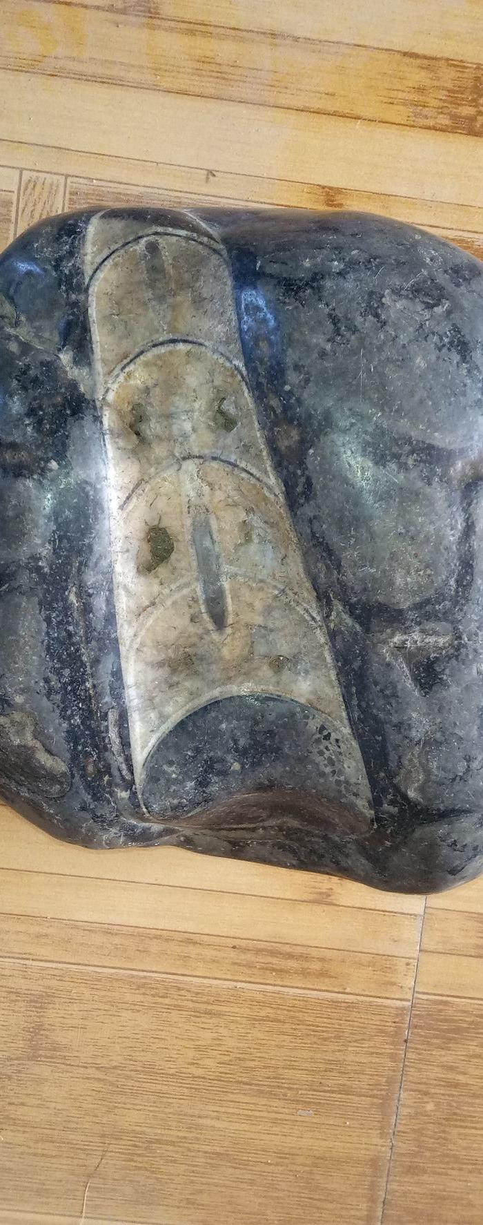 宝石陨石奇石竹虫纹外生物化石