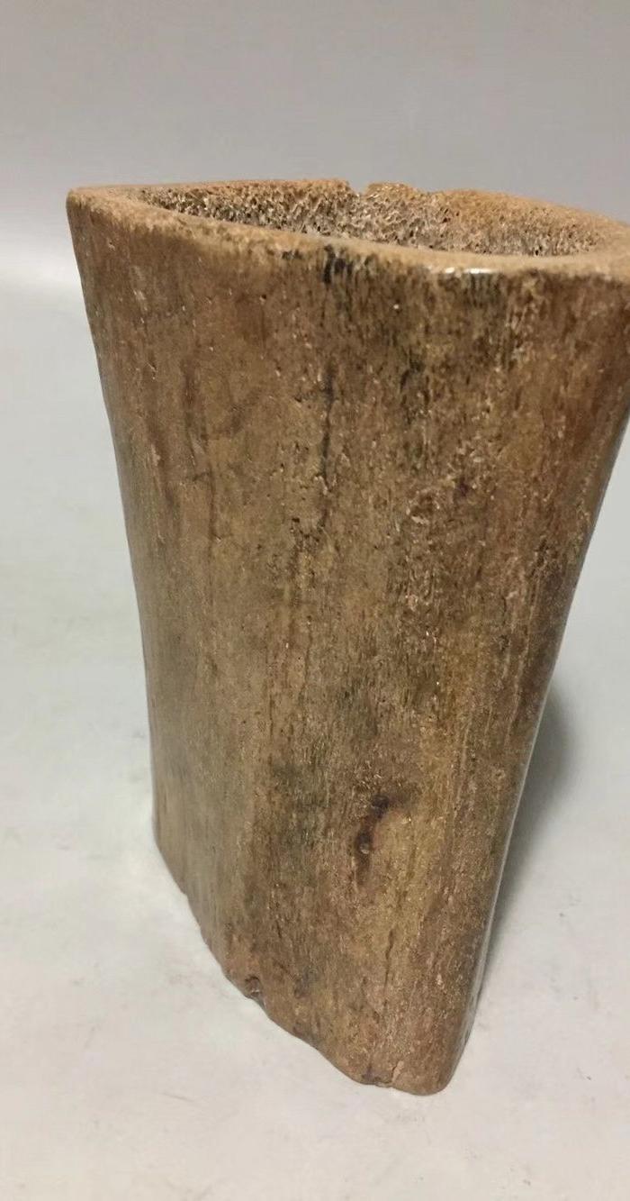 象骨化石随形笔筒