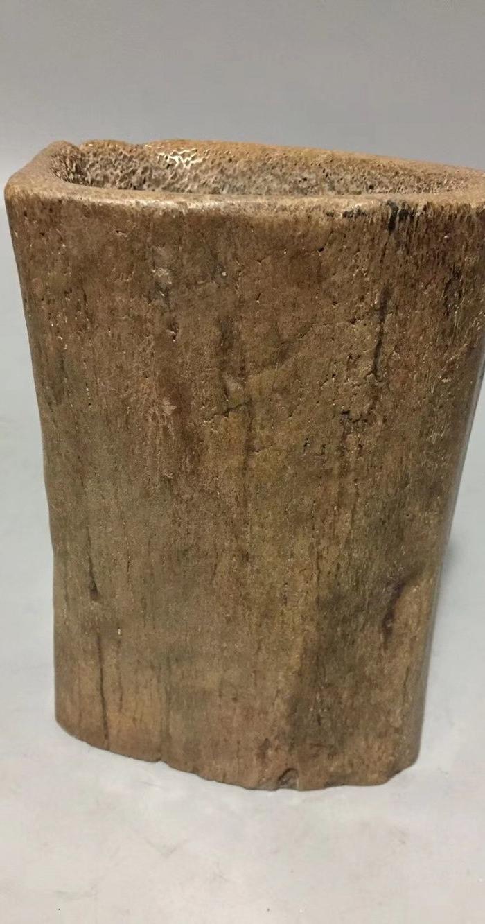 象骨化石随形笔筒