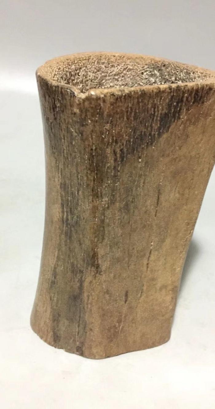 象骨化石随形笔筒