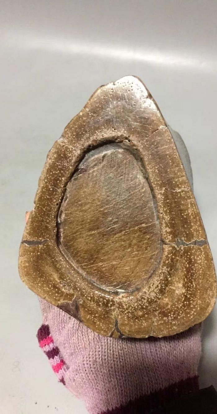 象骨化石随形笔筒