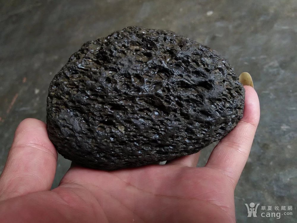 碳质陨石罕见图片