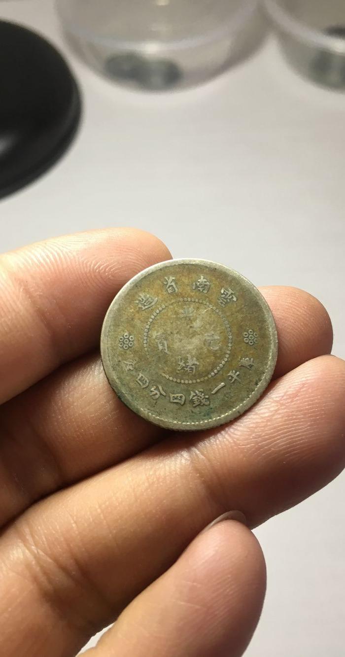 少见的云南银毫子