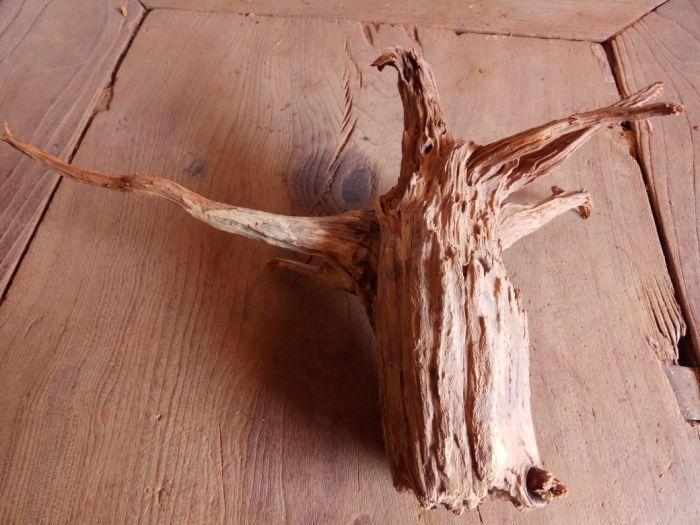 2斤重蜜香柏六星级奶参蜜味陈化脱骨百年香根兜一颗