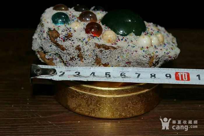 佛教头骨再生舍利子