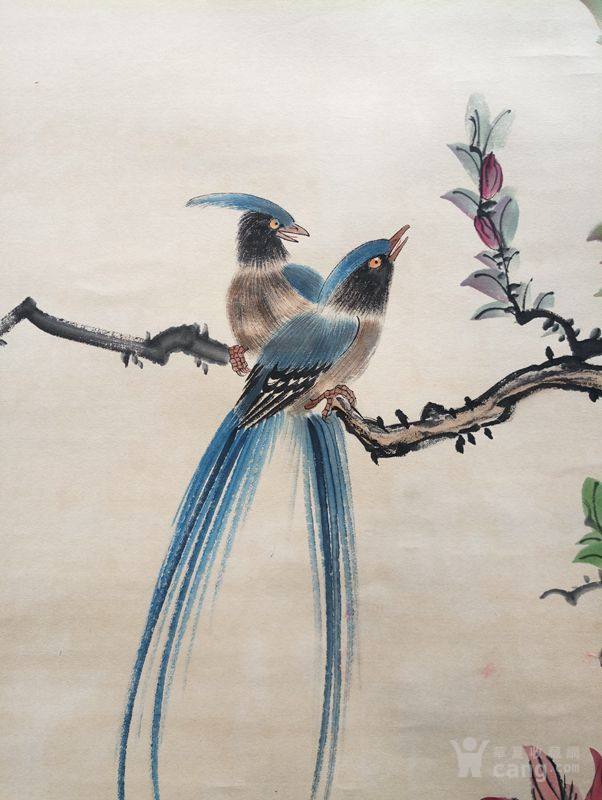 古董古玩名家古画清代 马家桐花鸟图