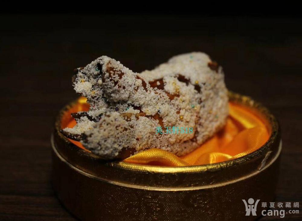 chutu佛牙再生舍利子