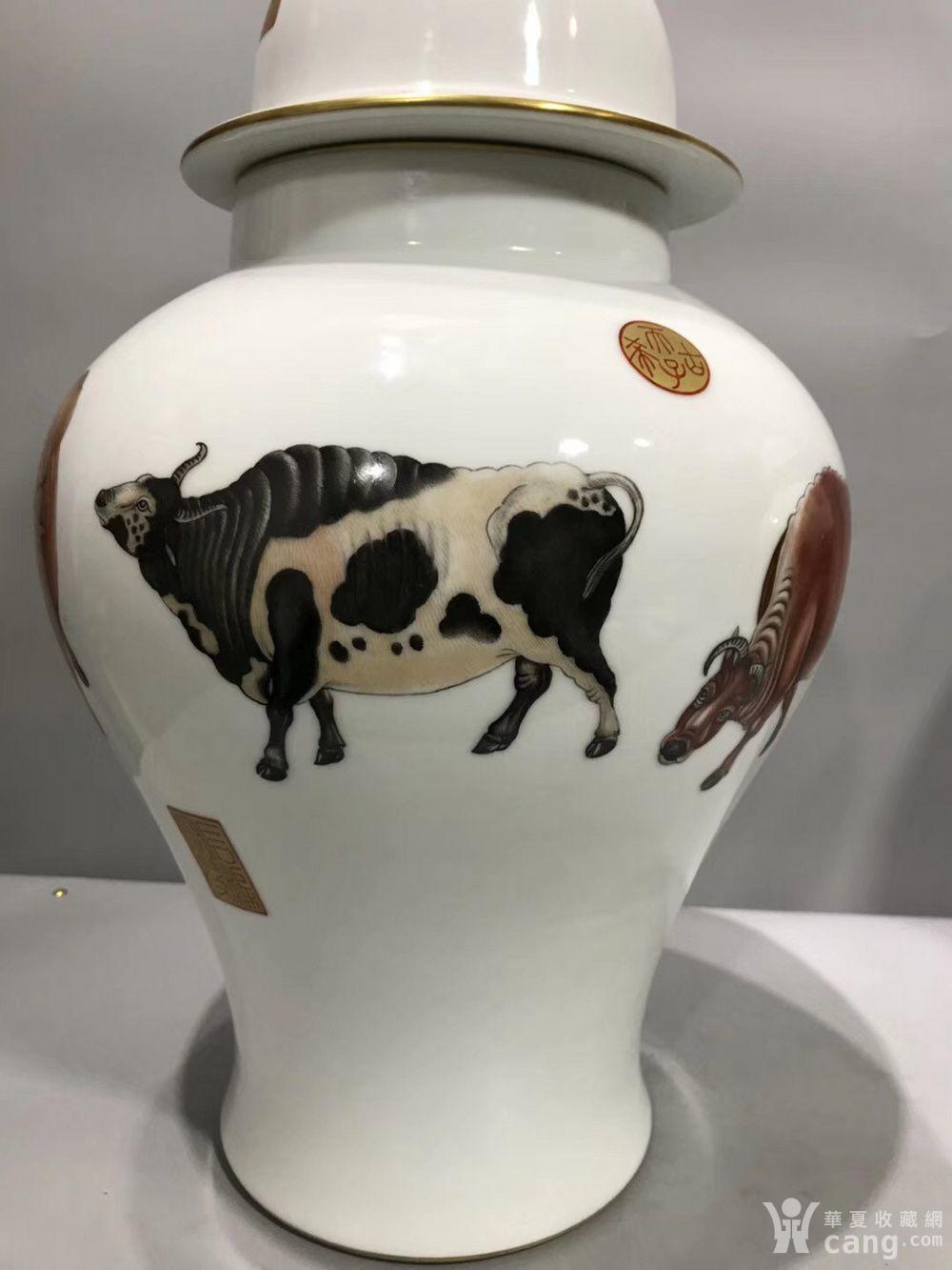 大清乾隆年制 款五牛图将军罐一对m 尺寸如图