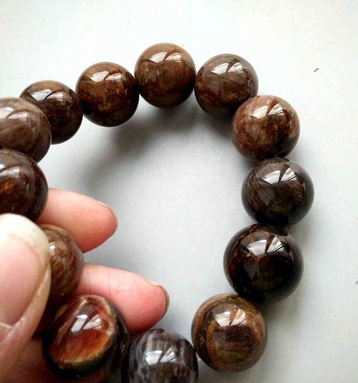 清代天然树化石手串