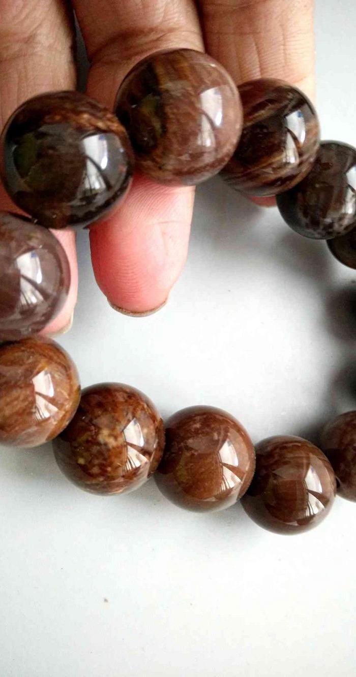 清代天然树化石手串