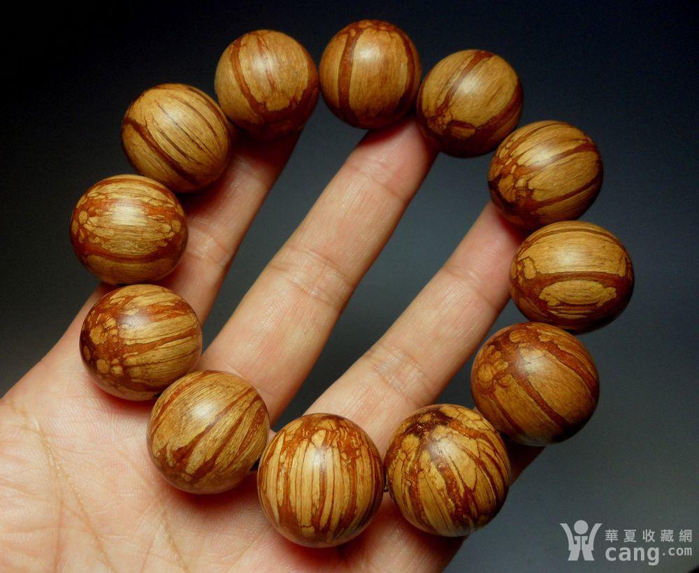 精品龙须藤2.0手串!漂亮西瓜藤花纹!b号