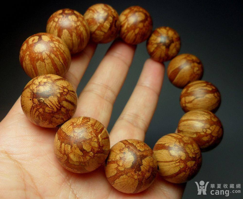 精品龙须藤2.0手串!漂亮西瓜藤花纹!b号