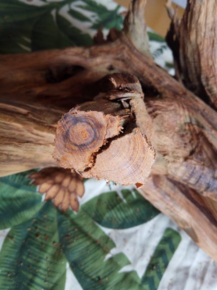 蜜香柏7_地摊交易_华夏收藏网