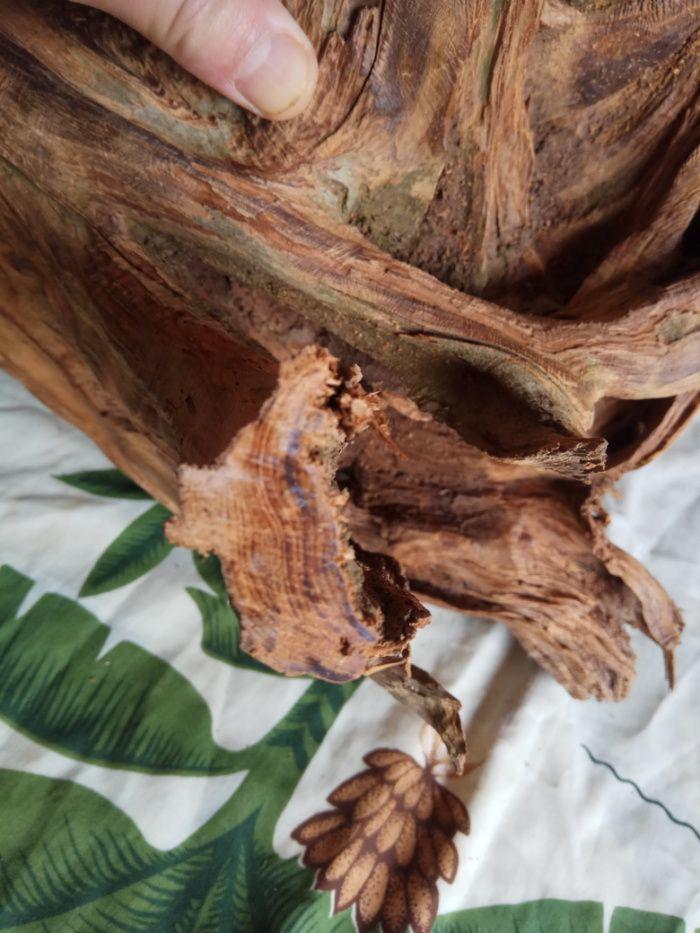 蜜香柏7_地摊交易_华夏收藏网