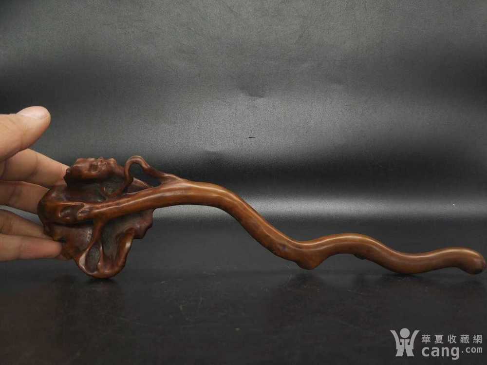 黄杨木榴巴如意