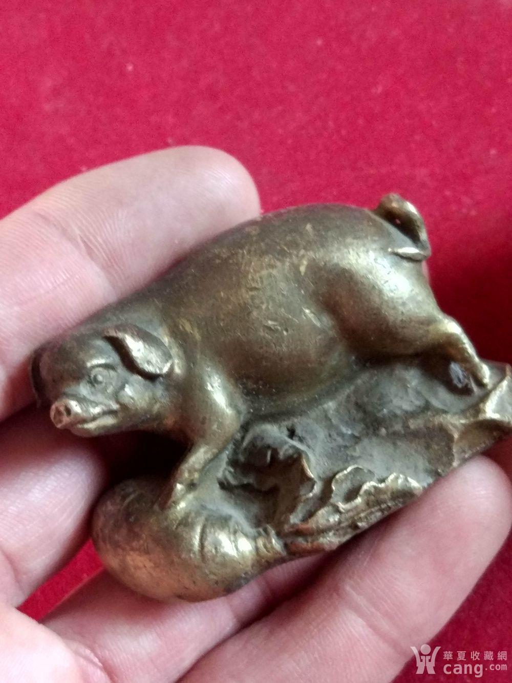 实心黄铜猪摆件,镇纸