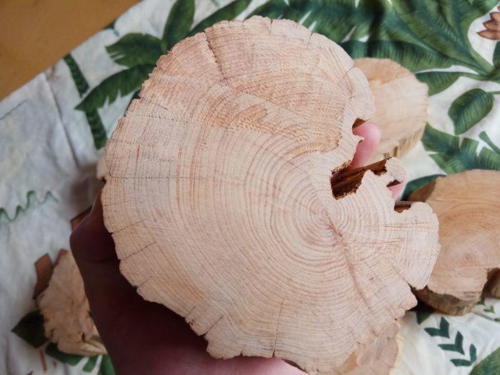 蜜香柏陈化老料茶托八块