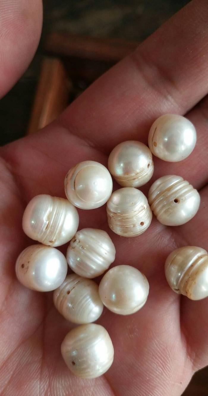 特别少见的东珠108粒