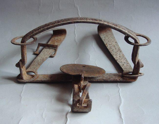        描述:品相较好如图,捕猎狼