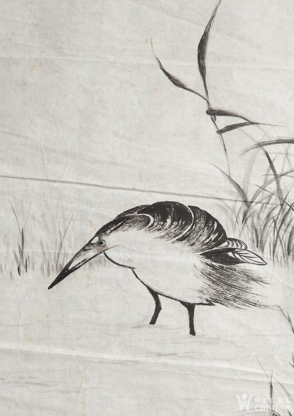 早期回流手绘软片,国画水鸟图