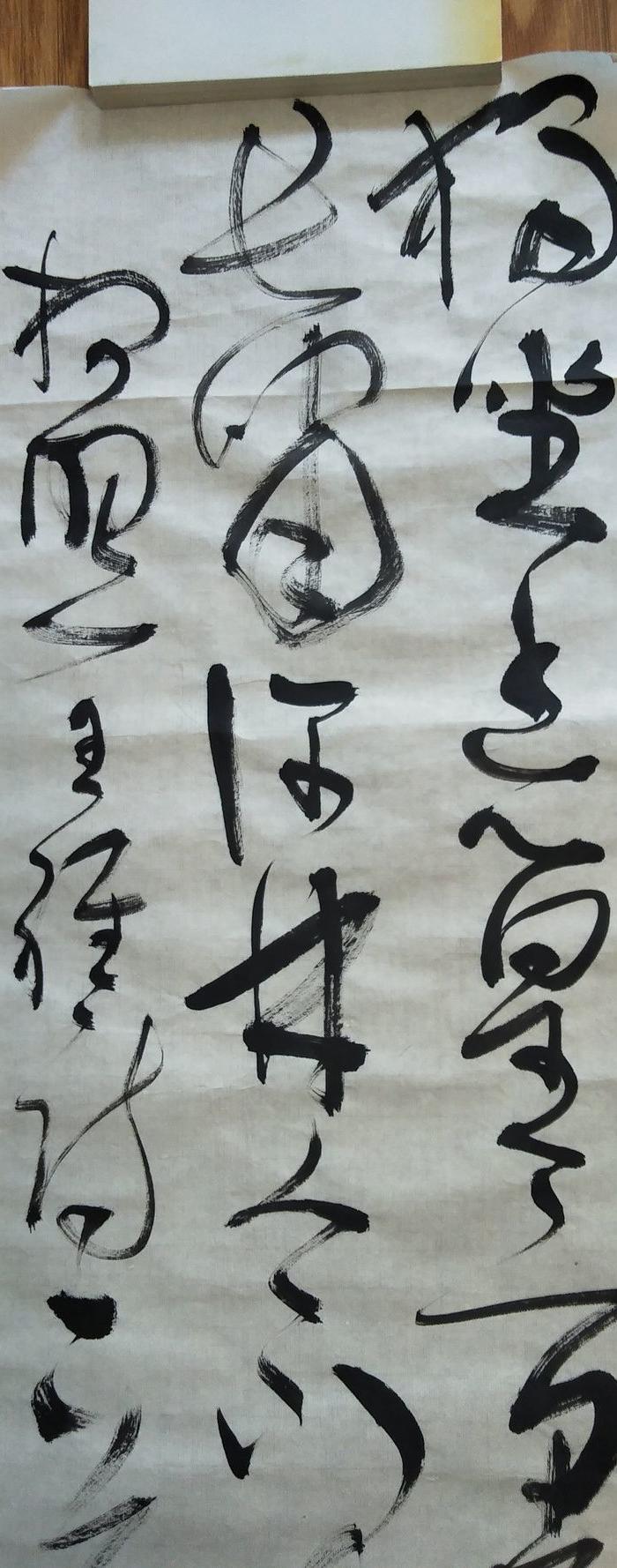 甘肃书法院研究员刘小农 龙 书法