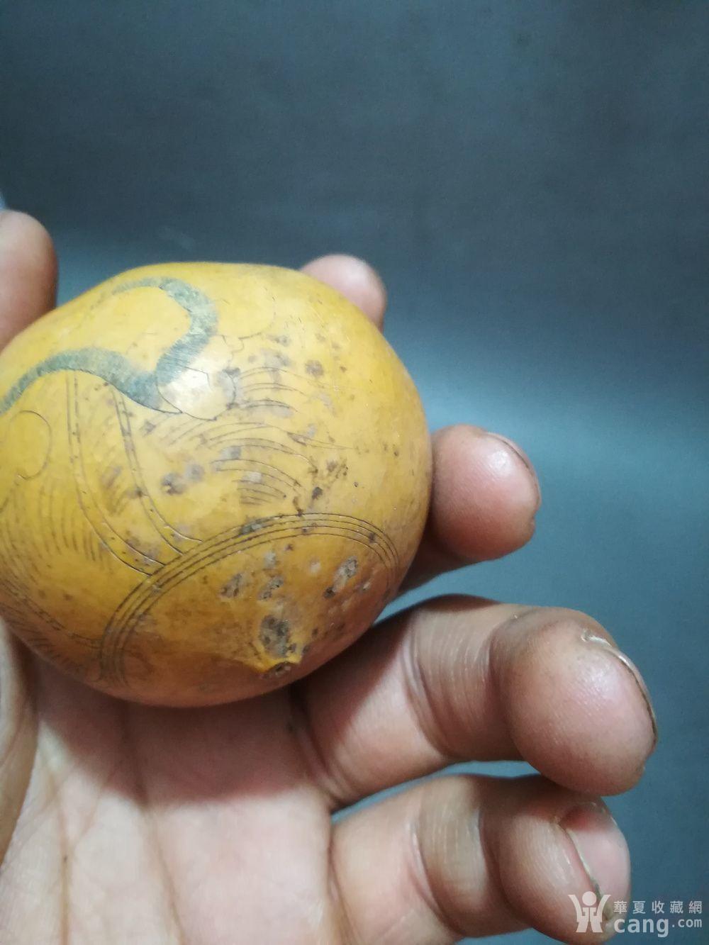 几十年的针刺葫芦