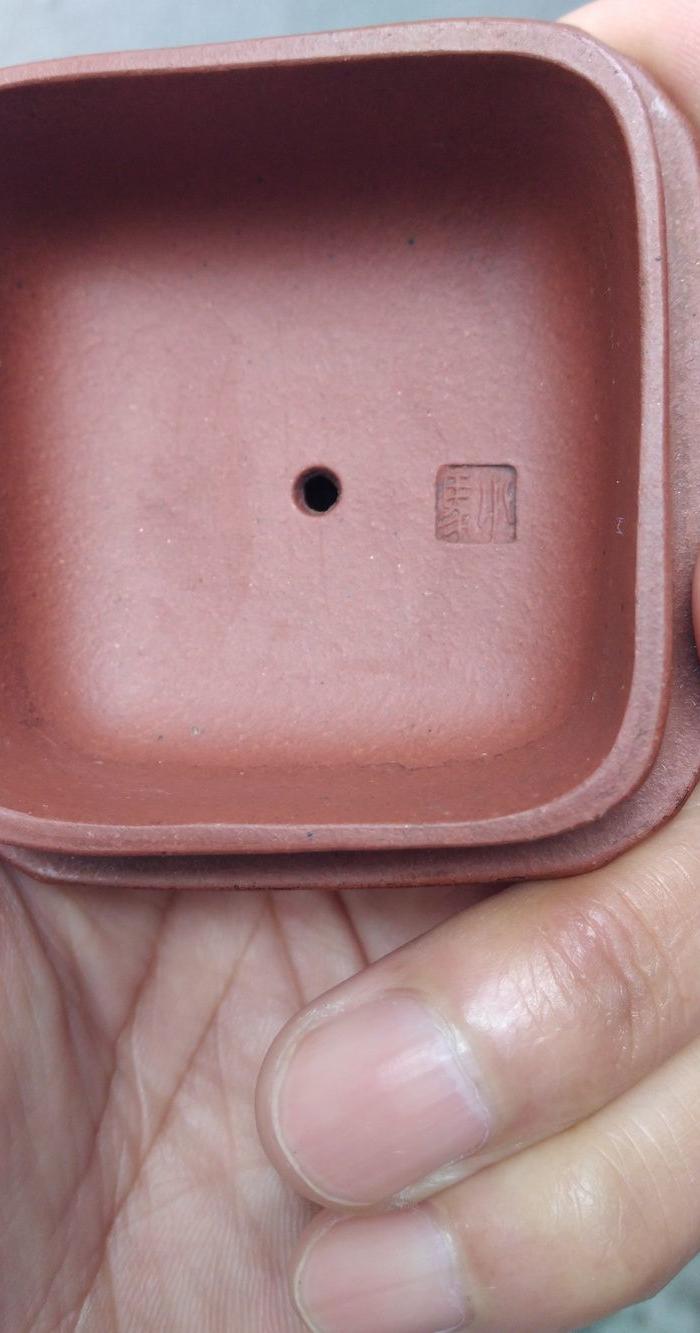 施小马款紫砂壶