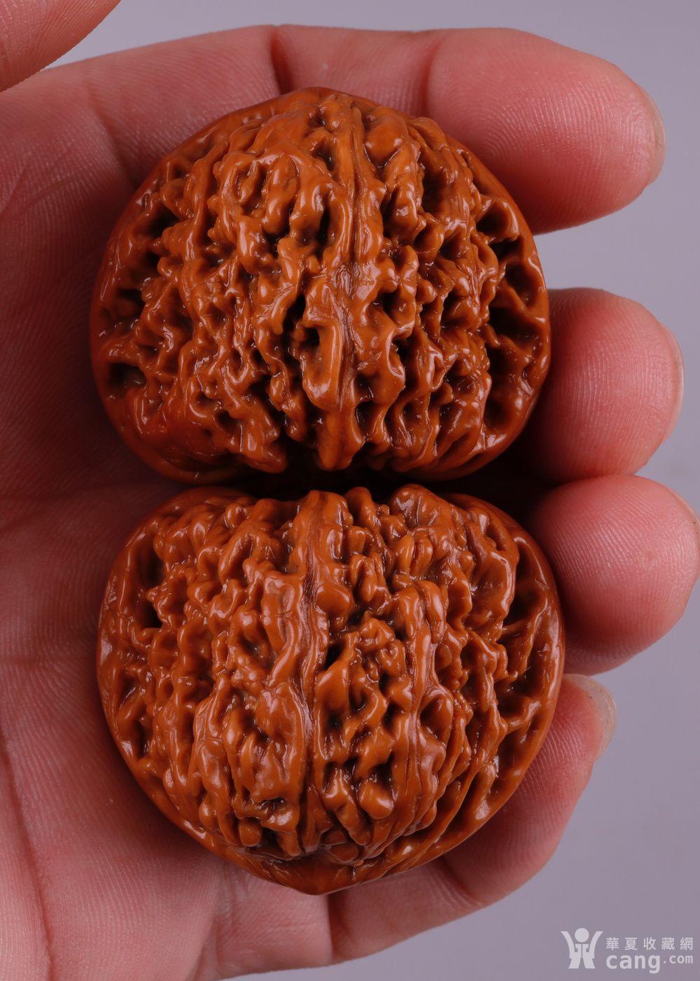 老文玩核桃南疆石狮子头