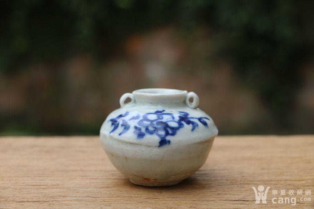 元青花折枝菊花纹水盂